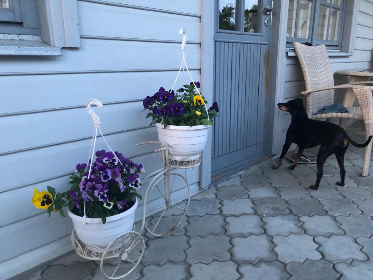 Manni Homestay Курессааре Экстерьер фото